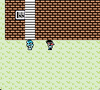 Final Fantasy Legend DX (Game Boy Color Reproduction)