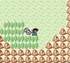 Final Fantasy Legend II DX (Game Boy Color Reproduction)