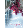 Etchings Literary & Fine Arts Magazine: Volume 36.1 - Paperback