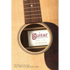 Guitar: An American Life - Paperback