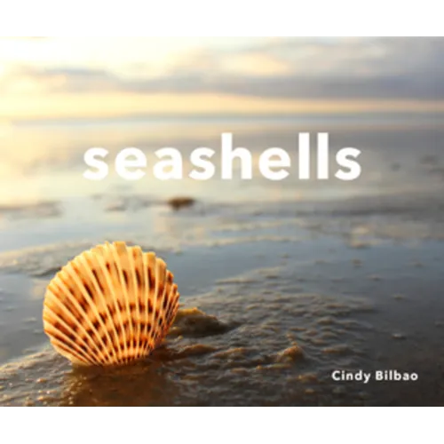 Seashells - Hardcover