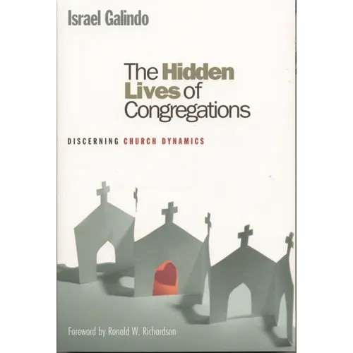 Hidden Lives of Congregations: Discerning Church Dynamics - Paperback