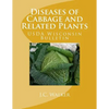 Diseases of Cabbage and Related Plants: USDA Wisconsin Bulletin - Paperback