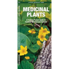 Medicinal Plants: An Introduction to Familiar North American Species