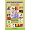 Natural Remedies for Hypertension/High Blood Pressure - Paperback