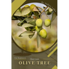 Olive Tree: Plant Guide - Paperback