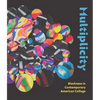 Multiplicity: Blackness in Contemporary American Collage - Hardcover