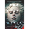 The Shape of Water: A Detective Mathieu Mystery - Hardcover