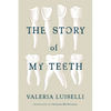 The Story of My Teeth - Paperback
