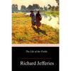 The Life of the Fields - Paperback