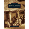 Wilhoit Springs: Molalla's Lost Resort - Paperback