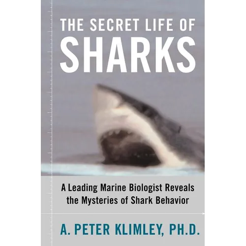 The Secret Life of Sharks: A Leading Marine Biologist Reveals the Mysteries of Shark Behavior - Paperback