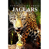 Jaguars - Curious Kids Press - Paperback