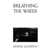 Breathing the Water - Paperback