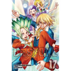 Dr. Stone, Vol. 17: Pioneers of Earth - Paperback