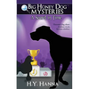 A Secret in Time - Paperback