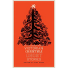 The Valancourt Book of Victorian Christmas Ghost Stories - Paperback
