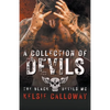 A Collection Of Devils: Motorcycle Club Romance Collection - Paperback