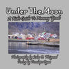 Under the Moon -- A Kid's Guide To Norway Fjords - Paperback