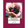Growing Blackberries - Paperback
