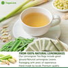 FreshDrinkUS Morning Vitality Digest & Detox Mix, Fennel, Ginger & Lemongrass Herbal Tea Bags Bundle, 100% Natural & Pure Seeds and Leaves, No Sugar, No Caffeine, No Gluten, Vegan, Biodegradable Tea Bags, Hand-Made Process – Herbal Beverage