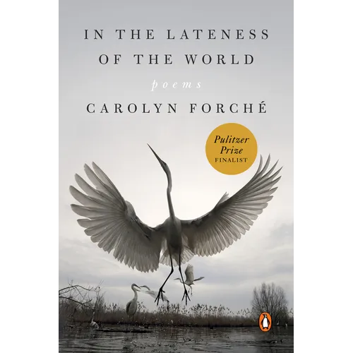 In the Lateness of the World: Poems - Paperback
