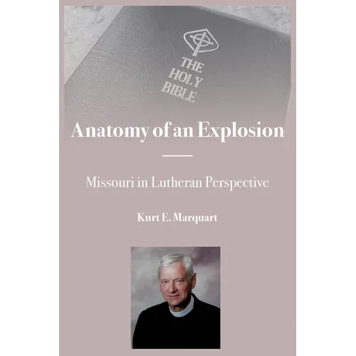 Anatomy of an Explosion - Paperback