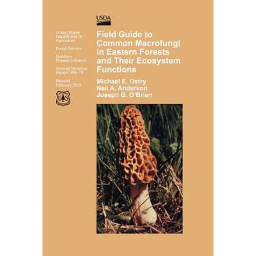 Field Guide to Common Macrofungi in Eastern Forests and Their Ecosystem Function - Paperback