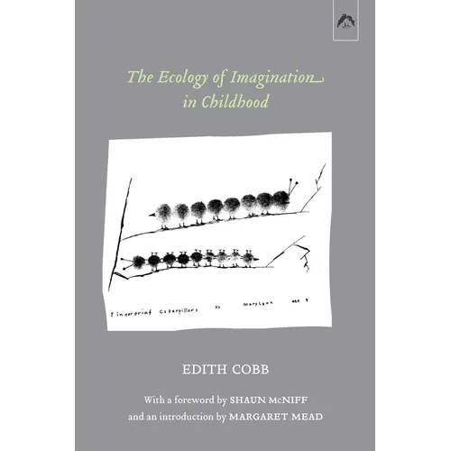 The Ecology of Imagination in Childhood - Paperback