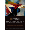 Divine Multiplicity: Trinities, Diversities, and the Nature of Relation - Paperback