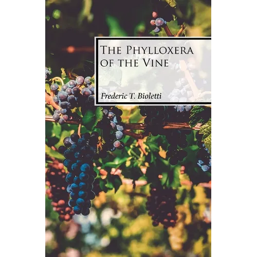 The Phylloxera of the Vine - Paperback