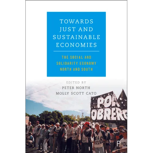 Towards Just and Sustainable Economies: The Social and Solidarity Economy North and South - Paperback