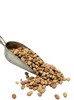 Bolita Beans
