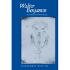 Walter Benjamin: An Aesthetic of Redemption Volume 7 - Paperback