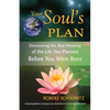 Your Soul's Plan: Discovering the Real Meaning of the Life You Planned Before You Were Born - Paperback