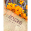 Poems and ballads (1866) by Algernon Charles Swinburne - Paperback