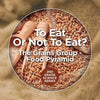 To Eat Or Not To Eat? The Grains Group - Food Pyramid: 2nd Grade Science Series - Paperback