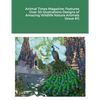 Animal Times Magazine: Features Over 30 Illustrations Designs of Amazing Wildlife Nature Animals (Issue #1) - Paperback