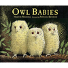 Owl Babies - Paperback