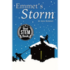 Emmet's Storm - Paperback