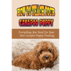 How To Teach Your Cavapoo Puppy: Everything You Need For Your New Cavapoo Puppy Training: Fun Facts About Cavapoo - Paperback