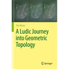 A Ludic Journey Into Geometric Topology - Paperback