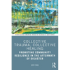 Collective Trauma, Collective Healing: Promoting Community Resilience in the Aftermath of Disaster - Paperback