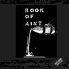 The Book of Ain't - Paperback