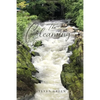The Cleansing - Paperback