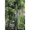 Ferns of Palau: A Field Guide - Paperback