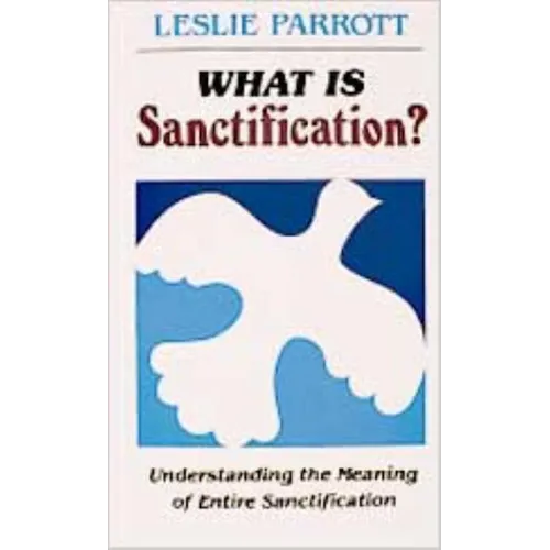 What Is Sanctification?: Understanding the Meaning of Entire Sanctification - Paperback