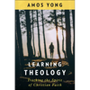 Learning Theology: Tracking the Spirit of Christian Faith - Paperback