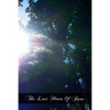 The Last Hours Of Jesus - Paperback