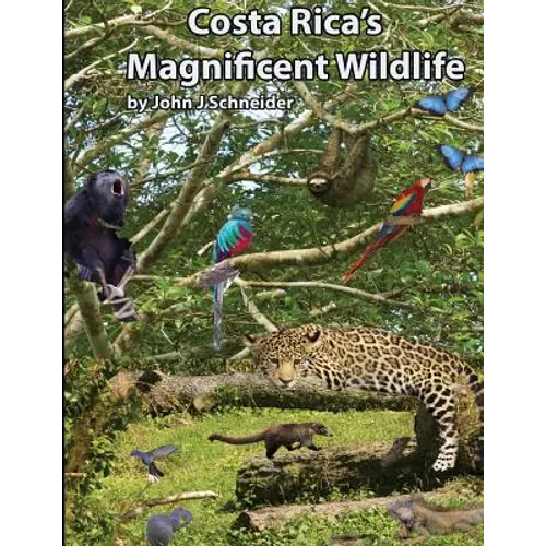 Costa Rica's Magnificent Wildlife - Paperback